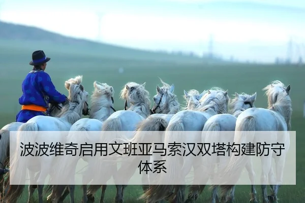 bo-bo-wei-qi-qi-yong-wen-ban-ya-ma-suo-han-shuang-ta-gou-jian-fang-shou-ti-xi-3-571.jpg
