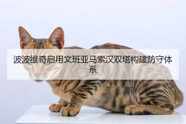 波波维奇启用文班亚马索汉双塔构建防守体系