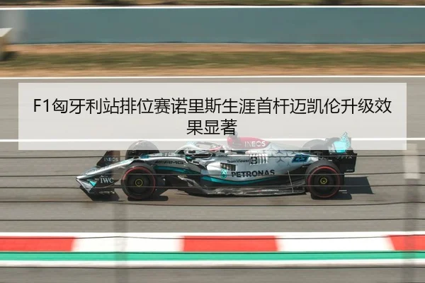 F1匈牙利站排位赛诺里斯生涯首杆迈凯伦升级效果显著