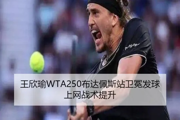 wang-xin-yu-bu-da-pei-si-zhan-wei-mian-fa-qiu-shang-wang-zhan-shu-ti-sheng-2-231.jpg